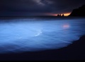 Thumbnail for version as of 14:09, 8 October 2014