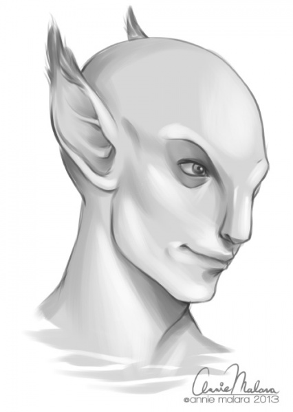 File:EndyHead.jpg